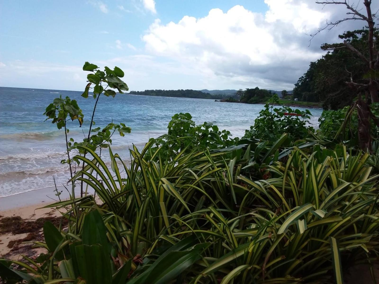 Port Antonio Brian'S Beach House Exteriér fotografie
